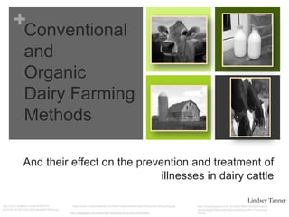 +Conventional
               and
               Organic
               Dairy Farming
               Methods

              And their effect on the prevention and treatment of
                                           illnesses in dairy cattle

                                                                                                                                                                 Lindsey Tanner
http://img1.eyefetch.com/p/2j/405372-        https://www.cotswoldseeds.com/files/cotswoldseeds/dairy%20cows%20grazing.jpg   http://3.bp.blogspot.com/_SCfwBkF65oY/Srk7jtINOaI/AA
8ccf1554-57c8-433d-90c8-8a4d9d1f4659.jpg                                                                                    AAAAAAQ6E/8BLdz5WSgrE/s400/Barn+Rt+173+no+pai
                                           http://lifegoggles.com/449/what-happened-to-all-the-milk-bottles/                nt.png
 