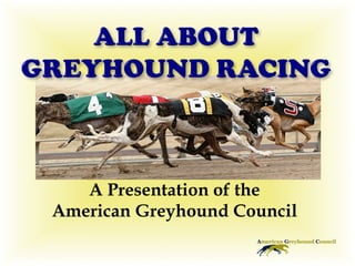 A Presentation of the American Greyhound Council 