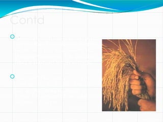 Contd
…
However, with the Basmati patent
rights, RiceTec will now be able
to not only call its aromatic rice
Basmati within the US, but also
label it Basmati for its exports.
India and Pakistan will not only
lose out on the 45,000 tonne
US import market, which
forms 10 percent of the total
Basmati exports.
 