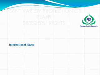 PLANT VARIETY PROTECTION OR
PLANT
BREEDERS’ RIGHTS
Rights granted to the breeder of a new variety of plant.
These laws typically grant the plant breeder control of the propagating
material (including seed, cuttings, divisions, tissue culture) and
harvested material (cut flowers, fruit, foliage) of a new variety for a
number of years.
International Rights
International Convention for the Protection of New Varieties of
Plants (UPOV Convention).
Purpose of the Convention was to ensure that the member states
party to the Convention acknowledge the achievements of breeders
of new plant varieties by making available to them an exclusive
property right, on the basis of a set of uniform and clearly defined
principles.
 