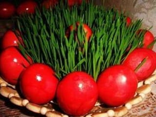 Agdgoma  lazar svili