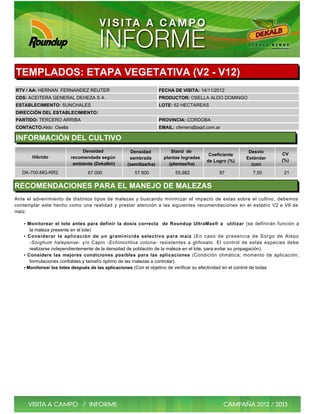 TEMPLADOS: ETAPA VEGETATIVA (V2 - V12)
RTV / AA: HERNAN FERNANDEZ REUTER                                  FECHA DE VISITA: 14/11/2012
CDS: ACEITERA GENERAL DEHEZA S A                                   PRODUCTOR: OSELLA ALDO DOMINGO
ESTABLECIMIENTO: SUNCHALES                                         LOTE: 62 HECTAREAS
DIRECCIÓN DEL ESTABLECIMIENTO:
PARTIDO: TERCERO ARRIBA                                            PROVINCIA: CORDOBA
CONTACTO:Aldo Osella                                               EMAIL: cferrero@agd.com.ar

INFORMACIÓN DEL CULTIVO
                              Densidad               Densidad           Stand de                             Desvío
                                                                                          Coeficiente                       CV
       Híbrido           recomendada según          sembrada         plantas logradas                       Estándar
                                                                                         de Logro (%)                       (%)
                          ambiente (Dekalb®)       (semillas/ha)       (plantas/ha)                           (cm)
   DK-700-MG-RR2                 67.000                57.600             55.982               97              7,50          21

RECOMENDACIONES PARA EL MANEJO DE MALEZAS
Ante el advenimiento de distintos tipos de malezas y buscando minimizar el impacto de estas sobre el cultivo, debemos
contemplar este hecho como una realidad y prestar atención a las siguientes recomendaciones en el estadío V2 a V6 de
maíz:

   • Monitorear el lote antes para definir la dosis correcta de Roundup UltraMax® a                  utilizar (se definirán función a
      la maleza presente en el lote)
   • Considerar la aplicación de un graminicida selectivo para maíz (En caso de presencia de Sorgo de Alepo
      -Sorghum halepense- y/o Capin -Echinochloa colona- resistentes a glifosato. El control de estas especies debe
      realizarse independientemente de la densidad de población de la maleza en el lote, para evitar su propagación).
   • Considere las mejores condiciones posibles para las aplicaciones (Condición climática; momento de aplicación;
      formulaciones confiables y tamaño óptimo de las malezas a controlar).
   • Monitorear los lotes después de las aplicaciones (Con el objetivo de verificar su efectividad en el control de todas
 