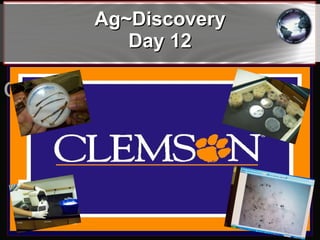 Ag~Discovery Day 12 