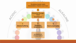 Perubahan kondisi tubuh
menyebabkan imbalans asam basa
Perubahan fisiologis
tubuh
KOMPENSASI
2.
Respiratory
compensation
perubahan pH
menuju normal
1.
Chemical buffering
3.
Renal compensation
 