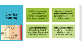 1.
Chemical
buffering
Buffers = agent yang
meminimalisir
kemampuan asam dan
basa dalam merubah pH
Respon kompensasi
paling cepat terhadap
perubahan kadar H+ di
dalam tubuh
Extracellular buffers:
bicarcobate (HCO3),
hemoglobin (Hb), protein
tertentu, dan fosfat
Intracellular buffers :
masuknya H+ ke dalam
sel dalam proses
pertukaran Na dan K
 