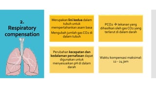 2.
Respiratory
compensation
Merupakan lini kedua dalam
tubuh untuk
mempertahankan asam basa
Mengubah jumlah gas CO2 di
dalam tubuh
PCO2  tekanan yang
dihasilkan oleh gas CO2 yang
terlarut di dalam darah
Perubahan kecepatan dan
kedalaman pernafasan dapat
digunakan untuk
menyesuaikan pH di dalam
darah
Waktu kompensasi maksimal:
12 - 24 jam
 