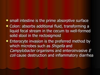 small intestine is the prime absorptive surface Colon: absorbs additional fluid, transforming a liquid fecal stream in the cecum to well-formed solid stool in the rectosigmoid Enterocyte invasion is the preferred method by which microbes such as  Shigella  and  Campylobacter  organisms and enteroinvasive  E coli  cause destruction and inflammatory diarrhea  