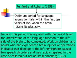 Penfield and Roberts (1959),   Optimum period for language acquisition falls within the first ten years of life, when the brain retains its plasticity.  Initially, this period was equated with the period taken for lateralization of the language function to the left side of the brain to be completed. Work on children and adults who had experienced brain injuries or operations indicated that damage to the left hemisphere caused few speech disorders and was rapidly repaired in the case of children but not adults (Lenneberg 1967).  