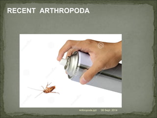 08 Sept. 2014Arthropoda.ppt
RECENT ARTHROPODA
 