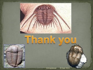 Arthropoda.ppt 08 Sept. 2014
 
