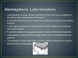 • Lateralization is when certain functions of the brain are a asigned to
the left or right hemisphere of the brain.
• In the left hemisphere are located the intellectual, logical and analytic
function.
• In the right hemisphere is located the function related to emotional
and social needs.
• Functions related to language appear mostly in the left hemisphere.
• Lateralitation starts around the age of two and is completed around
puberty.
• The plasticity of the brain helps children before puberty to a acquire
first and second language.
 