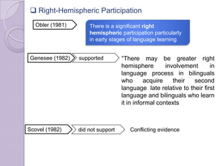  Right-Hemispheric Participation
There is a significant right
hemispheric participation particularly
in early stages of language learning
Obler (1981)
Genesee (1982)
Scovel (1982)
supported
did not support
“There may be greater right
hemisphere involvement in
language process in bilinguals
who acquire their second
language late relative to their first
language and bilinguals who learn
it in informal contexts
Conflicting evidence
 