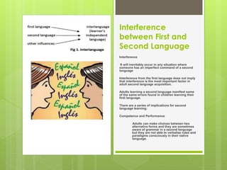Interference
between First and
Second Language
Interference
It will inevitably occur in any situation where
someone has an imperfect command of a second
language
Interference from the first language does not imply
that interference is the most important factor in
adult second language acquisition.
Adults learning a second language manifest some
of the same errors found in children learning their
first language.
There are a series of implications for second
language learning:
Competence and Performance
Adults can make choices between two
alternative forms and they are sometimes
aware of grammar in a second language
but they are not able to verbalize rules and
paradigms consciously in their native
language.
 