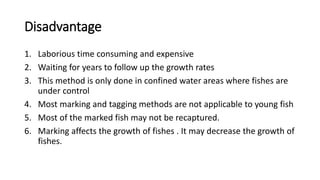 Disadvantage
1. Laborious time consuming and expensive
2. Waiting for years to follow up the growth rates
3. This method is only done in confined water areas where fishes are
under control
4. Most marking and tagging methods are not applicable to young fish
5. Most of the marked fish may not be recaptured.
6. Marking affects the growth of fishes . It may decrease the growth of
fishes.
 