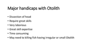 Major handicaps with Otolith
• Dissection of head
• Require great skills
• Very laborious
• Great skill expertise
• Time consuming
• May need to killing fish having irregular or small Otolith
 