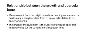 Relationship between the growth and opercula
bone
• Measurement from the origin to each succeeding annulus can be
made along a imaginary line from its apical articulation to its
posterior margin .
• The origin of measurement is the Centre of articular apex and
imaginary line cut the various annular growth lines.
 