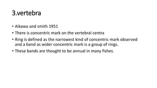 3.vertebra
• Aikawa and smith 1951
• There is concentric mark on the vertebral centra
• Ring is defined as the narrowest kind of concentric mark observed
and a band as wider concentric mark is a group of rings.
• These bands are thought to be annual in many fishes.
 