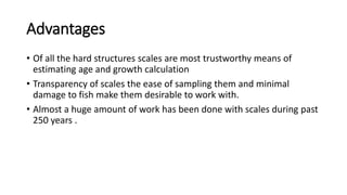 Advantages
• Of all the hard structures scales are most trustworthy means of
estimating age and growth calculation
• Transparency of scales the ease of sampling them and minimal
damage to fish make them desirable to work with.
• Almost a huge amount of work has been done with scales during past
250 years .
 