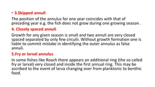 • 3.Skipped annuli
The position of the annulus for one year coincides with that of
preceding year e.g. the fish does not grow during one growing season .
4. Closely spaced annuli
Growth for any given season is small and two annuli are very closed
spaced separated by only few circulii. Without growth formation one is
liable to commit mistake in identifying the outer annulus as false
annuli.
5.Fry or larval annulus
In some fishes like Roach there appears an additional ring (the so called
fry or larval) very closed and inside the first annual ring. This may be
ascribed to the event of larva changing over from planktonic to benthic
food.
 
