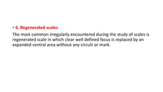 • 6. Regenerated scales
The most common irregularly encountered during the study of scales is
regenerated scale in which clear well defined focus is replaced by an
expanded central area without any circulii or mark.
 
