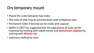 Dry temporary mount
• Placed the scales between two slides
• The ends of slide may be pressed down with cellophane tape
• Permanent slides if desired can be made with euparol
• Wallin in 1957 has suggested that the appearance of scale can be
improved by treating with cobalt nitrate and ammonium sulphate by
staining with Alizarin red.
• Laborious method by stain
 
