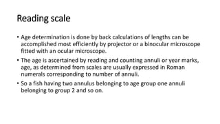 Reading scale
• Age determination is done by back calculations of lengths can be
accomplished most efficiently by projector or a binocular microscope
fitted with an ocular microscope.
• The age is ascertained by reading and counting annuli or year marks,
age, as determined from scales are usually expressed in Roman
numerals corresponding to number of annuli.
• So a fish having two annulus belonging to age group one annuli
belonging to group 2 and so on.
 