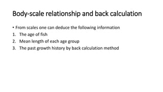 Body-scale relationship and back calculation
• From scales one can deduce the following information
1. The age of fish
2. Mean length of each age group
3. The past growth history by back calculation method
 