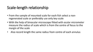 Scale-length relationship
• From the sample of mounted scale for each fish select a non-
regenerated scale or preferably use only key-scale
• With the help of binocular microscope fitted with ocular micrometer
measure the radius of scale which is from the centre of focus to the
margin of the scale
• Also record length the same radius from centre of each annulus
 