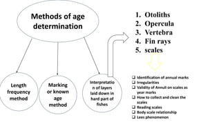 Methods of age
determination
Length
frequency
method
Marking
or known
age
method
Interpretatio
n of layers
laid down in
hard part of
fishes
1. Otoliths
2. Opercula
3. Vertebra
4. Fin rays
5. scales
 Identification of annual marks
 Irregularities
 Validity of Annuli on scales as
year marks
 How to collect and clean the
scales
 Reading scales
 Body scale relationship
 Lees phenomenon
 