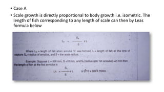 • Case A
• Scale growth is directly proportional to body growth i.e. isometric. The
length of fish corresponding to any length of scale can then by Leas
formula below
 