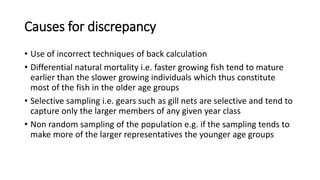 Causes for discrepancy
• Use of incorrect techniques of back calculation
• Differential natural mortality i.e. faster growing fish tend to mature
earlier than the slower growing individuals which thus constitute
most of the fish in the older age groups
• Selective sampling i.e. gears such as gill nets are selective and tend to
capture only the larger members of any given year class
• Non random sampling of the population e.g. if the sampling tends to
make more of the larger representatives the younger age groups
 