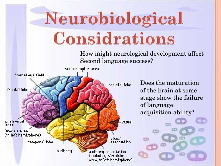 Age And Neurological Factors (I Presentation)
