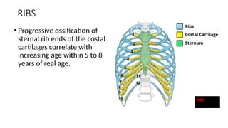 various methods of Determination of ages with bones | PPTX