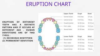 Forensic Age and Sex Determination Using Dental Analysis Techniques | PPTX