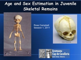 Age and Sex Estimation in Juvenile   Skeletal Remains Rose Campbell Session 1, 2011 