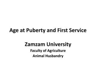 Age at Puberty and First Service
Zamzam University
Faculty of Agriculture
Animal Husbandry
 