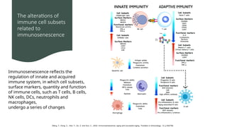 Age, autoimmunity, and inflammation the role of immunosenescence.pptx