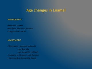 Age changes in Enamel
MACROSCOPIC
-Becomes darker
-Attrition, Abrasion, Erosion
-Longitudinal cracks
MICROSCOPIC
- Decreased - enamel rod ends
- perikymata
- permeability to fluids
- Increase in nitrogen and fluorine
• Increased resistance to decay
 