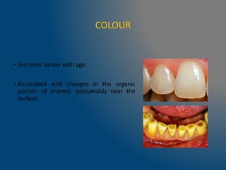 COLOUR
• Becomes darker with age.
• Associated with changes in the organic
portion of enamel, presumably near the
surface.
 