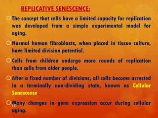 REPLICATIVE SENESCENCE:
The concept that cells have a limited capacity for replication
was developed from a simple experimental model for
aging.
Normal human fibroblasts, when placed in tissue culture,
have limited division potential.
Cells from children undergo more rounds of replication
than cells from older people.
After a fixed number of divisions, all cells become arrested
in a terminally non-dividing state, known as Cellular
Senescence.
Many changes in gene expression occur during cellular
aging.
10
 
