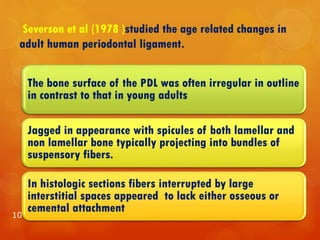 Severson et al (1978 )studied the age related changes in
adult human periodontal ligament.
100
The bone surface of the PDL was often irregular in outline
in contrast to that in young adults
Jagged in appearance with spicules of both lamellar and
non lamellar bone typically projecting into bundles of
suspensory fibers.
In histologic sections fibers interrupted by large
interstitial spaces appeared to lack either osseous or
cemental attachment
 