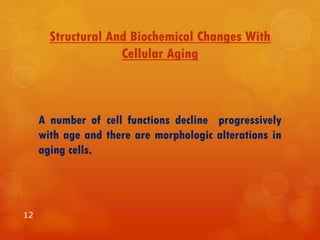 Structural And Biochemical Changes With
Cellular Aging
A number of cell functions decline progressively
with age and there are morphologic alterations in
aging cells.
12
 