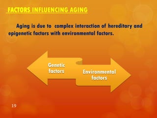 FACTORS INFLUENCING AGING
Aging is due to complex interaction of hereditary and
epigenetic factors with environmental factors.
19
Genetic
factors Environmental
factors
 
