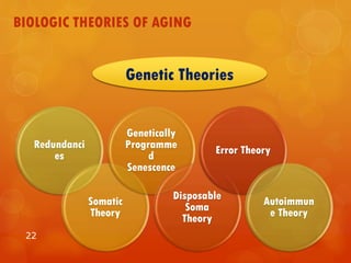 BIOLOGIC THEORIES OF AGING
Redundanci
es
Somatic
Theory
Genetically
Programme
d
Senescence
Disposable
Soma
Theory
Error Theory
Autoimmun
e Theory
22
Genetic Theories
 
