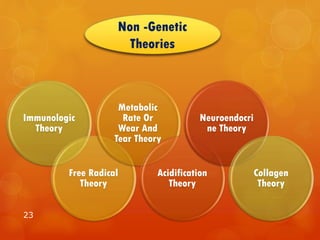 23
Non -Genetic
Theories
Immunologic
Theory
Free Radical
Theory
Metabolic
Rate Or
Wear And
Tear Theory
Acidification
Theory
Neuroendocri
ne Theory
Collagen
Theory
 