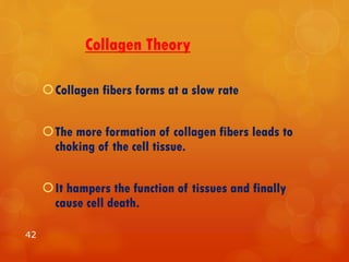 Collagen Theory
Collagen fibers forms at a slow rate
The more formation of collagen fibers leads to
choking of the cell tissue.
It hampers the function of tissues and finally
cause cell death.
42
 