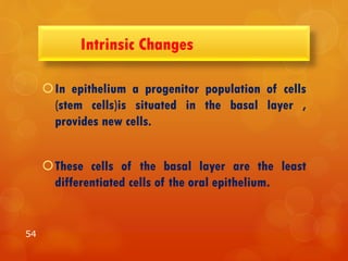 Intrinsic Changes
In epithelium a progenitor population of cells
(stem cells)is situated in the basal layer ,
provides new cells.
These cells of the basal layer are the least
differentiated cells of the oral epithelium.
54
 