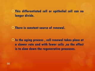 This differentiated cell or epithelial cell can no
longer divide.
There is constant source of renewal.
In the aging process , cell renewal takes place at
a slower rate and with fewer cells ,so the effect
is to slow down the regenerative processes.
56
 