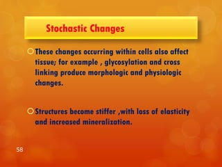 Stochastic Changes
These changes occurring within cells also affect
tissue; for example , glycosylation and cross
linking produce morphologic and physiologic
changes.
Structures become stiffer ,with loss of elasticity
and increased mineralization.
58
 