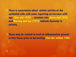 There is uncertainty about mitotic activity of the
epithelial cells with some reporting an increase with
age (Toto etal 1975) , constant rate (Ryan etal 1974)
and Karring and Loe (1973) indicate decrease in
activity,
These may be related to level of inflammation present
in this tissue prior to harvesting (Van der valden 1984
) .
70
 